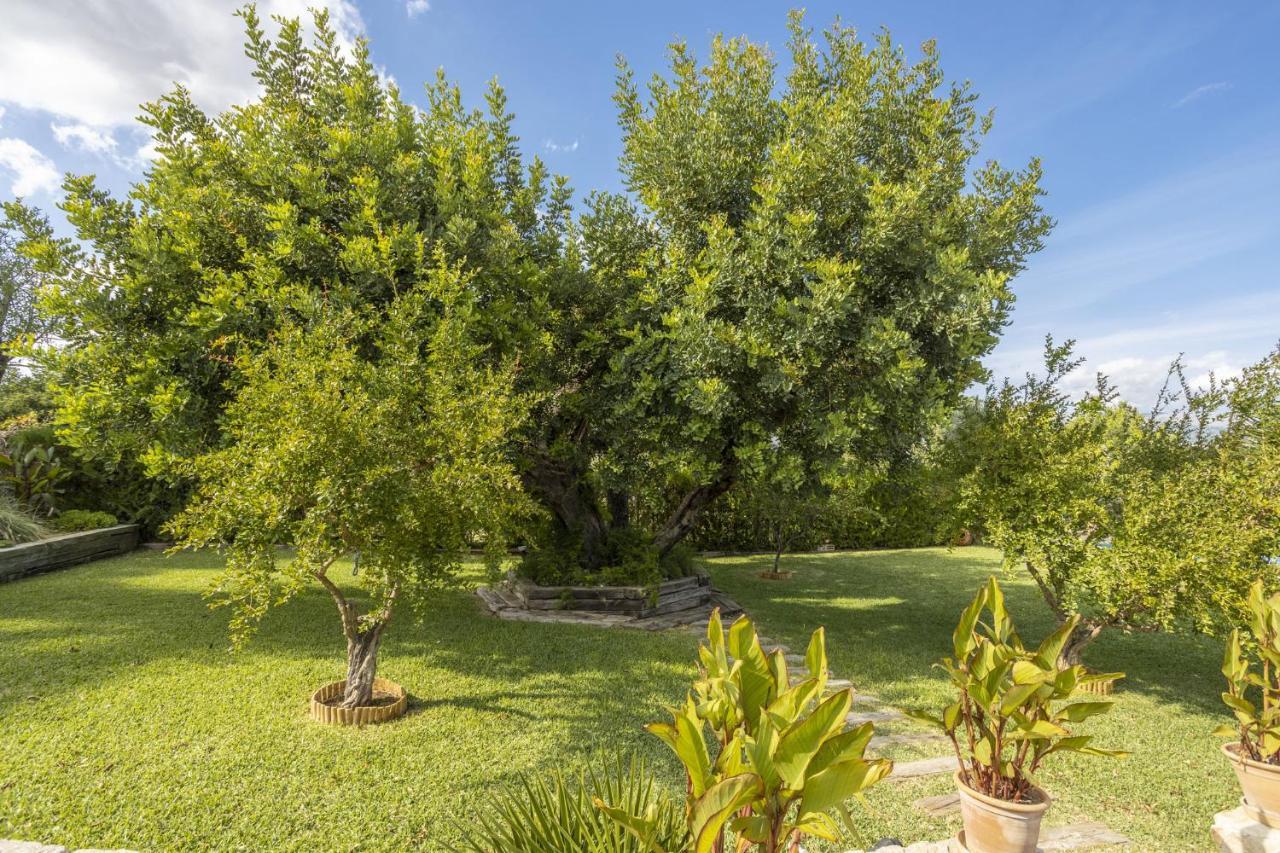 Landhaus Finca Can Bosch Family